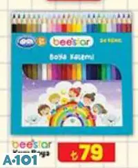 BEESTAR KURU BOYA 24'LÜ